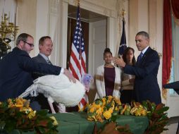 Obama indulta al pavo Cheese, que junto a Mac será llevado a una granja en el estado de Virginia. AFP / M. Ngan