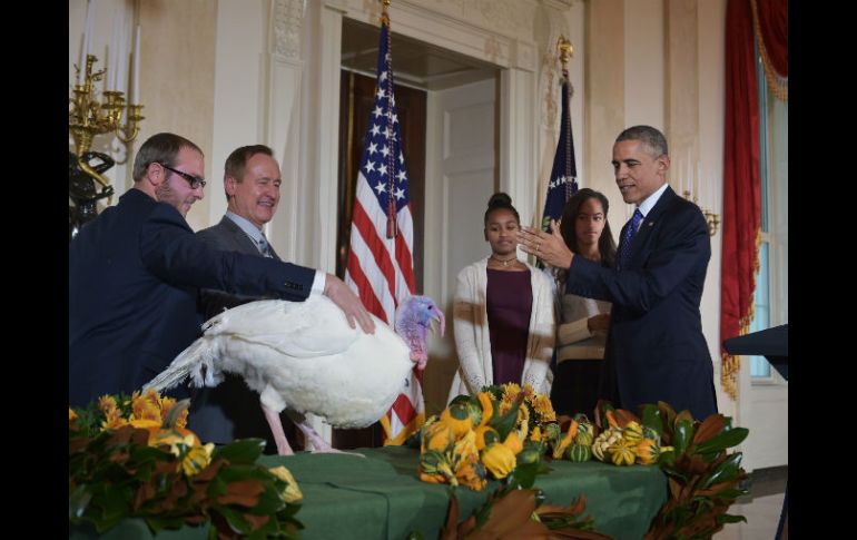 Obama indulta al pavo Cheese, que junto a Mac será llevado a una granja en el estado de Virginia. AFP / M. Ngan