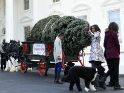 El árbol será montado y engalanado en el Salón Azul. AP / S. Walsh