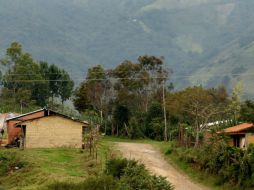 El menor indígena permanece secuestrado desde el 20 de noviembre en el departamento del Cauca. EFE / ARCHIVO