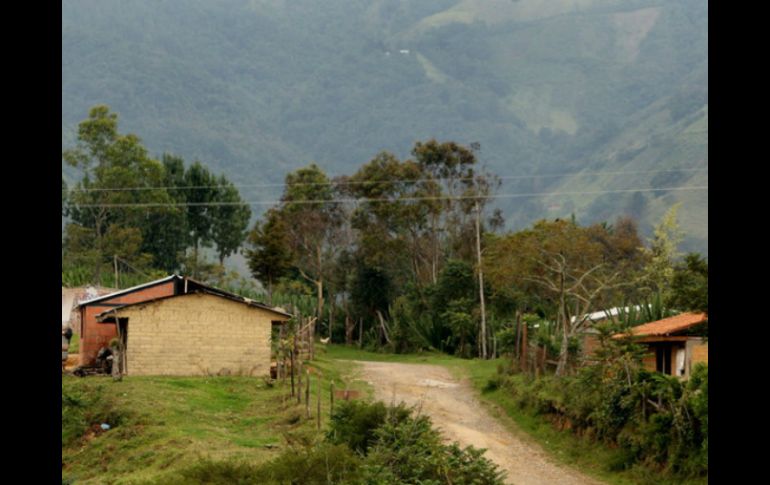 El menor indígena permanece secuestrado desde el 20 de noviembre en el departamento del Cauca. EFE / ARCHIVO