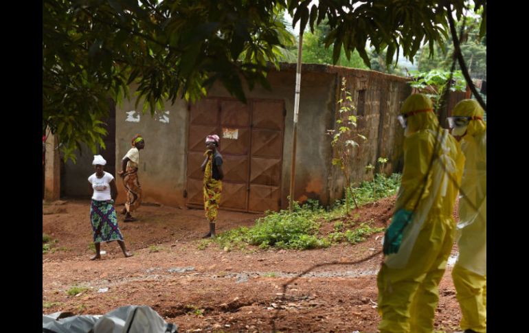 Mientras la epidemia se mantenga, el impacto económico y humano será cada vez más devastador. AFP / ARCHIVO