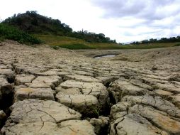 ''La constitución ecuatoriana es la única en el mundo en reconocer derechos a la naturalez'', afirma un fuincionario de dicho país. AFP / ARCHIVO