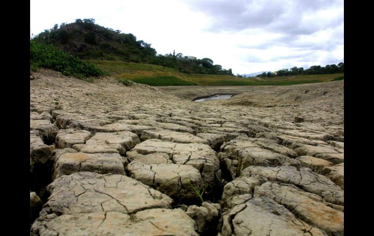 ''La constitución ecuatoriana es la única en el mundo en reconocer derechos a la naturalez'', afirma un fuincionario de dicho país. AFP / ARCHIVO