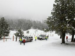 Autoridades solicitan acudir en un vehículo de preferencia 4x4 en buenas condiciones, nunca en autos compactos. EL INFORMADOR / ARCHIVO