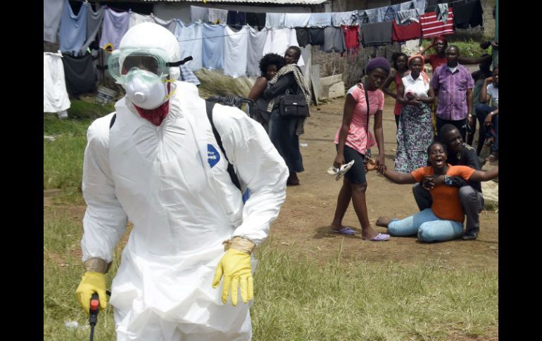 Científicos están desarrollando vacunas contra el ébola, después de que ha provocado más de 18 mil casos en África. AFP / P. Guyot