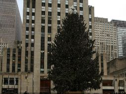 El árbol está acompañado de una pista de hielo y varias esculturas alusivas a la Navidad. AFP /