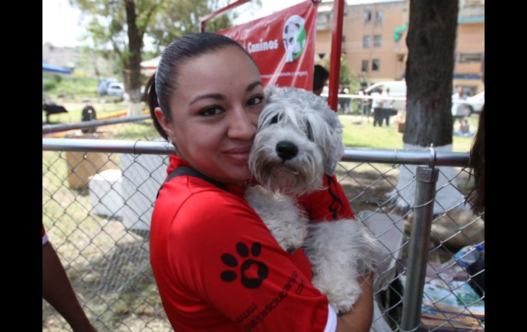 Exhortan a elegir la adopción a quienes decidan hacer frente a la responsabilidad de adquirir una mascota. EL INFORMADOR / ARCHIVO