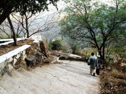 Muestra de las zonas que requieren intervención: jardineras y escaleras del mirador de la Barranca de Huentitán lucen abandonadas. EL INFORMADOR / E. Barrera