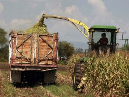 Gamboa Patrón señaló que pugnará por acceso a insumos como fertilizantes y semillas. EL INFORMADOR / ARCHIVO