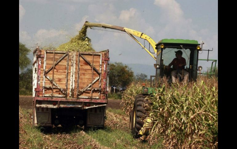 Gamboa Patrón señaló que pugnará por acceso a insumos como fertilizantes y semillas. EL INFORMADOR / ARCHIVO