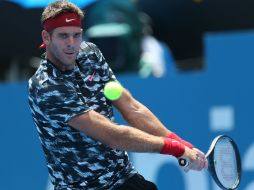 Juan Martín del Potro no jugaba individuales desde febrero de 2014. AFP / C. Golding