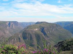 Área natural. Vista general de la Barranca de Huentitán. EL INFORMADOR /