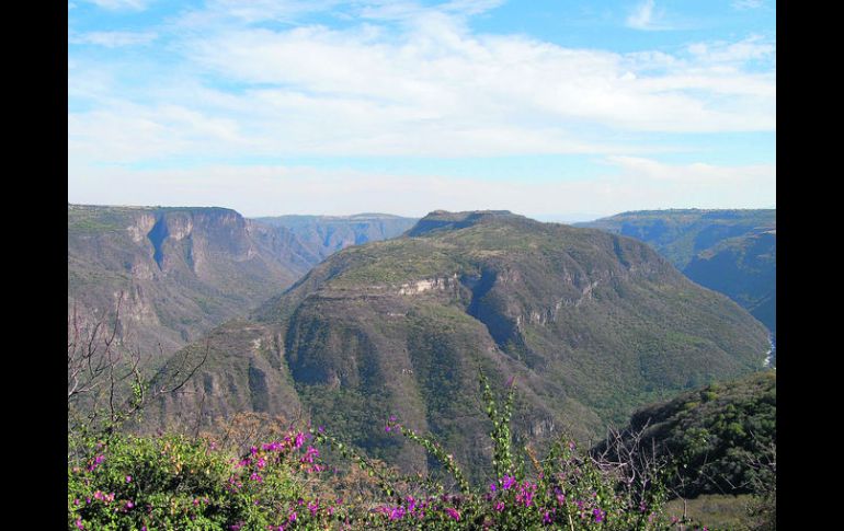 Área natural. Vista general de la Barranca de Huentitán. EL INFORMADOR /