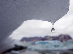 El hielo polar y oceánico siguió derritiéndose ante las mayores temperaturas. AP / ARCHIVO