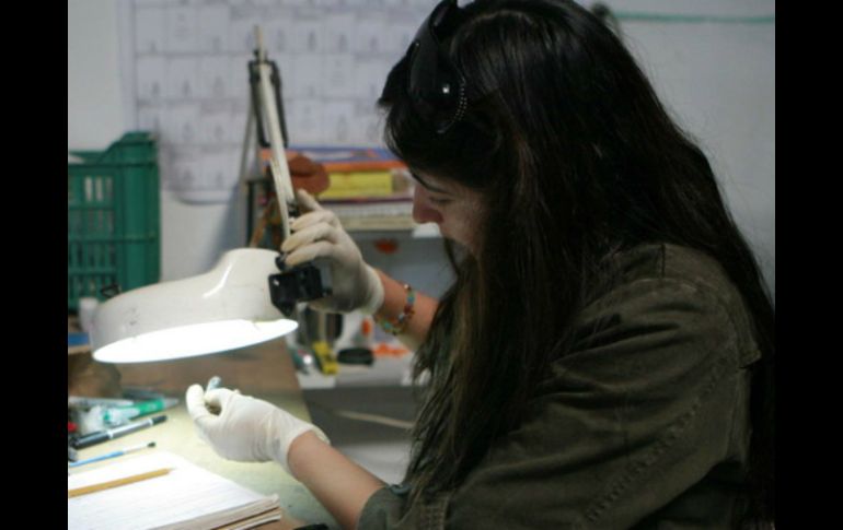 Gracias a una técnica desarrollada se permitió despegar las máscaras de momias sin dañar la tinta sobre el papel. EL INFORMADOR / ARCHIVO