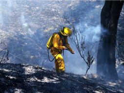 Durante el 2014 las condiciones climáticas con lluvias constantes permitieron la disminución de incendios forestales en Jalisco. EL INFORMADOR / ARCHIVO