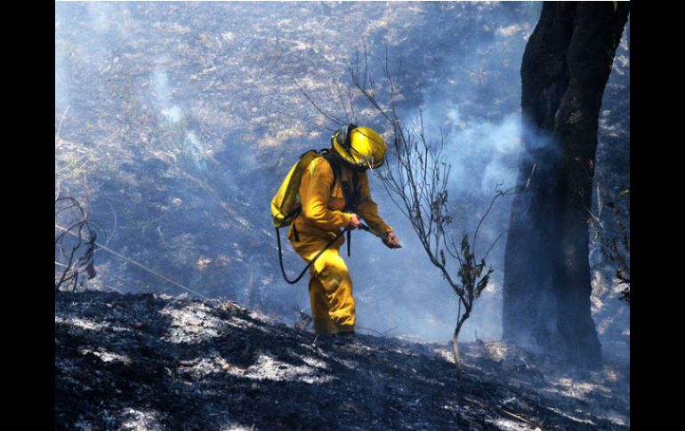 Durante el 2014 las condiciones climáticas con lluvias constantes permitieron la disminución de incendios forestales en Jalisco. EL INFORMADOR / ARCHIVO