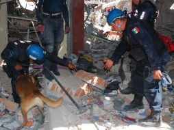 Elementos de la Gendarmería Nacional, y diversas dependencias e instituciones continúan con los trabajos de remoción de escombros. NTX / ARCHIVO