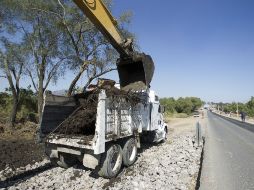 En diciembre pasado se retiró el arbolado de la carretera sin contar con alguna manifestación de impacto ambiental. EL INFORMADOR / ARCHIVO