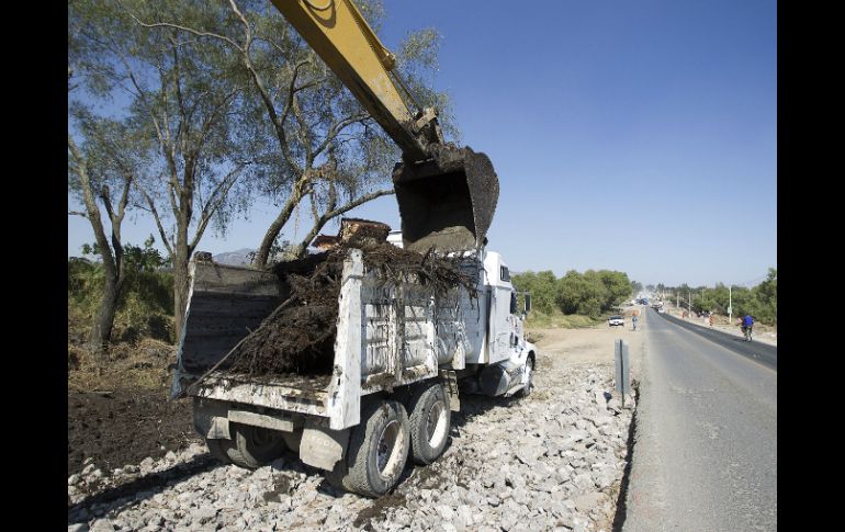 En diciembre pasado se retiró el arbolado de la carretera sin contar con alguna manifestación de impacto ambiental. EL INFORMADOR / ARCHIVO