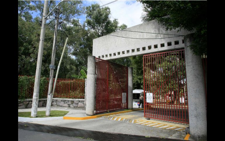 Álvaro Cuevas de la mesa de Cultura Popular trabaja en un proyecto en el Bosque de los Colomos para que artistas muestren sus trabajos. EL INFORMADOR / ARCHIVO