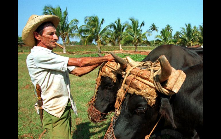 La importación de armas, municiones y subproductos animales o vegetales están fuera del acuerdo. AP / ARCHIVO