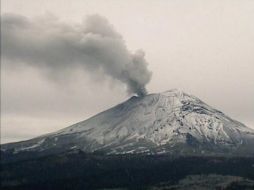 Durante la tarde del viernes y la mañana del sábado se contabilizaron 20 minutos de tremor armónico. TWITTER / @LUISFELIPE_P