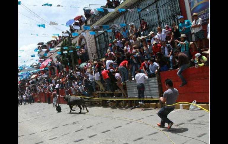 Toro se suelta de sus caporales y comienza a embestir a las personas asistentes en la feria. NTX / ARCHIVO