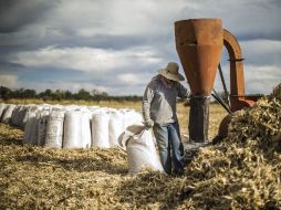 Los niveles de uso de la tierra y la productividad continuarán degradando el suelo. EL INFORMADOR / ARCHIVO