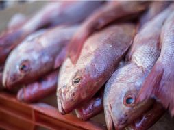 En este año se expenderán productos nacionales frescos y congelados como camarones, pulpo y filetes de diversas especies de pescado. EL INFORMADOR / A. Hernández