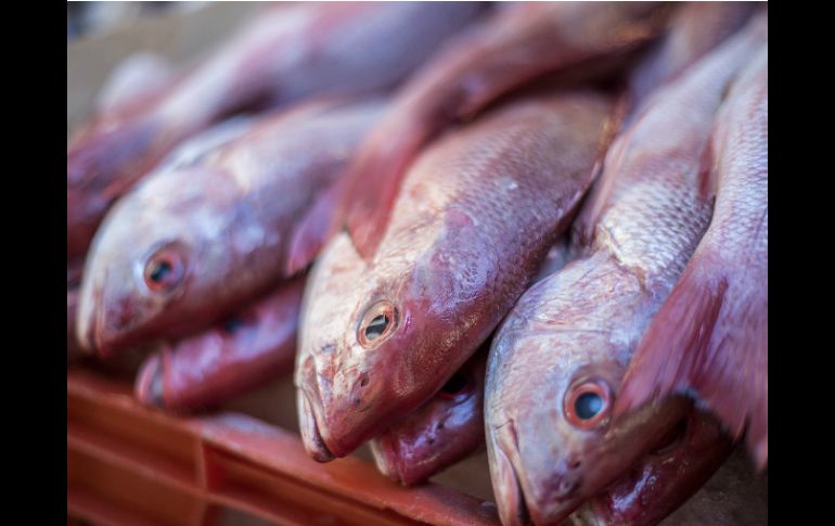 En este año se expenderán productos nacionales frescos y congelados como camarones, pulpo y filetes de diversas especies de pescado. EL INFORMADOR / A. Hernández