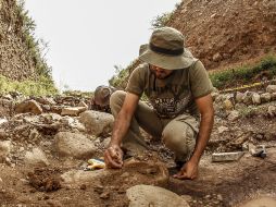 El fósil fue encontrado en rocas del periodo cretácico, de hace alrededor de 80 millones de años. EL INFORMADOR / ARCHIVO