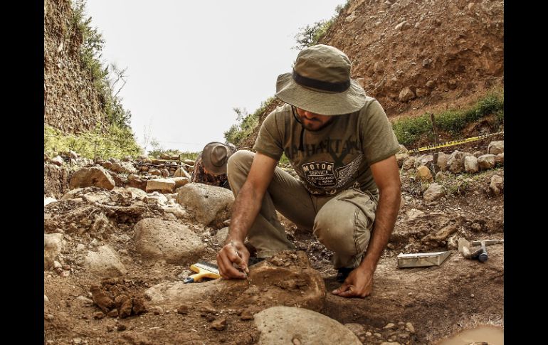 El fósil fue encontrado en rocas del periodo cretácico, de hace alrededor de 80 millones de años. EL INFORMADOR / ARCHIVO