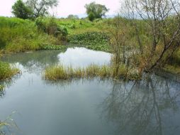 Una de las conclusiones es que probablemente se vierten aguas negras en la presa. EL INFORMADOR / ARCHIVO