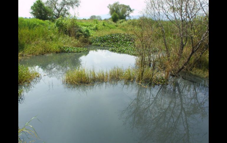 Una de las conclusiones es que probablemente se vierten aguas negras en la presa. EL INFORMADOR / ARCHIVO