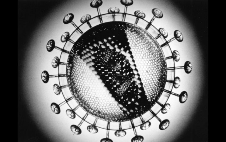 La técnica puede inhibir un amplio rango de mutaciones del virus VIH, incluidas las que muestran mayor resistencia a los anticuerpos. EL INFORMADOR / ARCHIVO