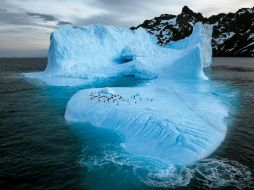 El hilo conductor de la muestra será la exploración y descubrimiento a través de la lente de National Geographic. TWITTER / @NatGeo