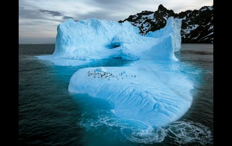 El hilo conductor de la muestra será la exploración y descubrimiento a través de la lente de National Geographic. TWITTER / @NatGeo