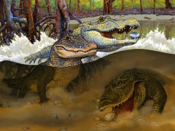 Ilustración del 'Kuttanacaiman iquitosensis' (izq.) 'Caiman wannlangstoni' (der.) y el' Gnatusuchus pebasensis'. ESPECIAL / www.sci-news.com