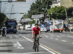 Ciclista recorre tranquilamente Avenida Alcalde. Por las obras de la Línea 3, los automovilistas han optado por otras rutas. EL INFORMADOR / F. Atilano