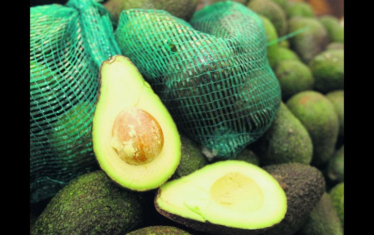 Las autoridades afirman que con la apertura del mercado de Estados Unidos incrementarán las exportaciones de aguacate de Jalisco. EL INFORMADOR / ARCHIVO