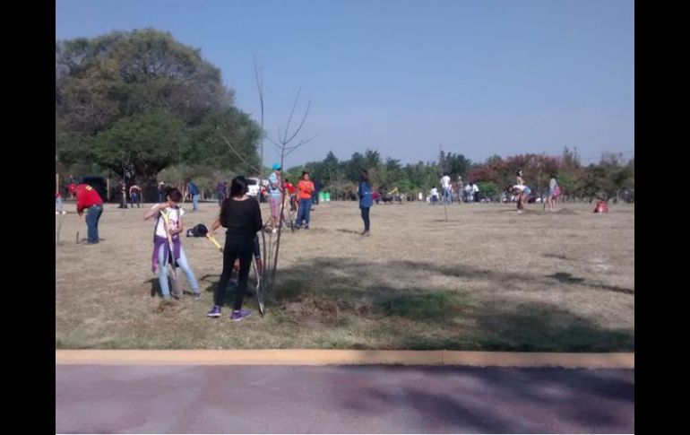 Los mismos participantes del programa de reforestación 'Hagamos de nuestra ciudad un bosque urbano', regresan al Parque Metropolitano. EL INFORMADOR / G. García