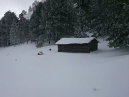 Durante el transcurso de la madrugada de este miércoles se registró la caída de nieve en el Nevado de Colima. ESPECIAL / Protección Civil Jalisco