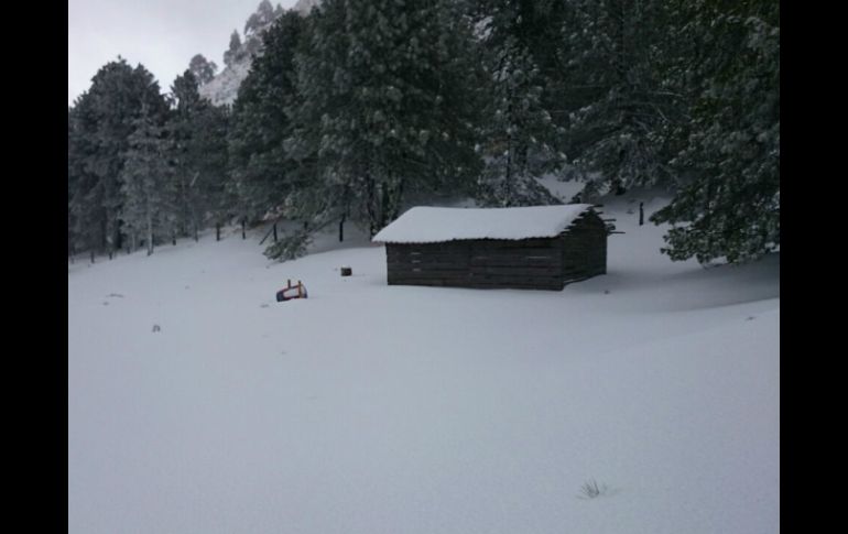 Durante el transcurso de la madrugada de este miércoles se registró la caída de nieve en el Nevado de Colima. ESPECIAL / Protección Civil Jalisco