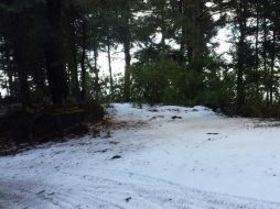 Así luce el Parque Nacional Nevado de Colima tras la reciente nevada. TWITTER / @PCJalisco