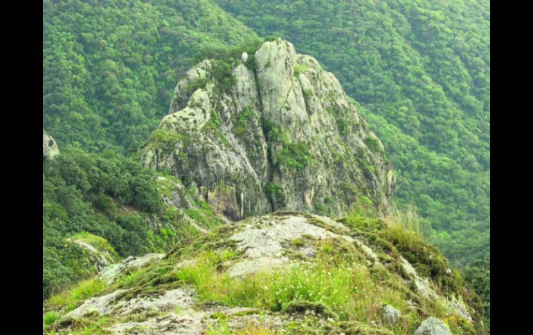 Las famosas 'Piedras Blancas' destacan entre las elevaciones de la Sierra de Quila por su color y belleza. EL INFORMADOR / V. García