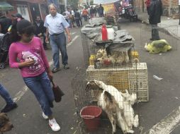 En El Baratillo se venden todo tipo de animales. EL INFORMADOR / J. Mendoza