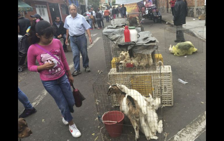 En El Baratillo se venden todo tipo de animales. EL INFORMADOR / J. Mendoza