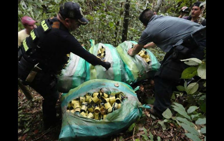 A pesar de los esfuerzos para retirar las minas antipersona, en regiones de Colombia aún persiste la amenaza. EFE / ARCHIVO